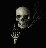 skull3.gif (30868 bytes)