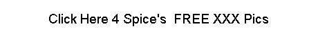 spiceb~2.gif (14220 bytes)